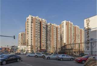 广东自动供料机现货供应