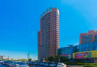 不同类型胶原酶消化方案